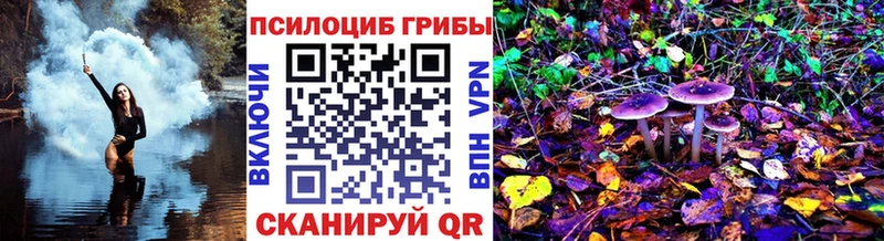 Псилоцибиновые грибы Magic Shrooms где купить МЕГА как зайти Ладушкин